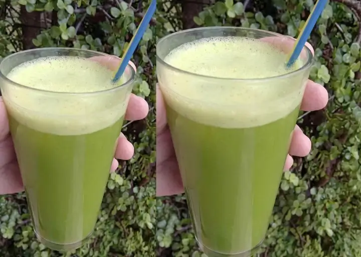 Revitalizante Verde: Suco de Couve, Limão e Hortelã (Um Elixir Detox para o Seu Corpo!)