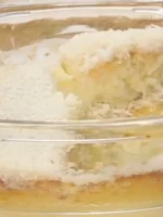 Bolo de Coco Molhadinho na Airfryer ou Forno