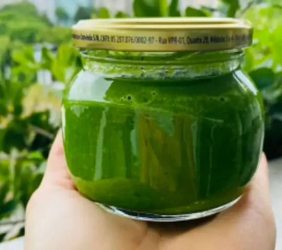 🌿 tempero caseiro com folhas de alho-poró (zero desperdício)