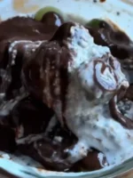 overnight oats fit com chia e frutas